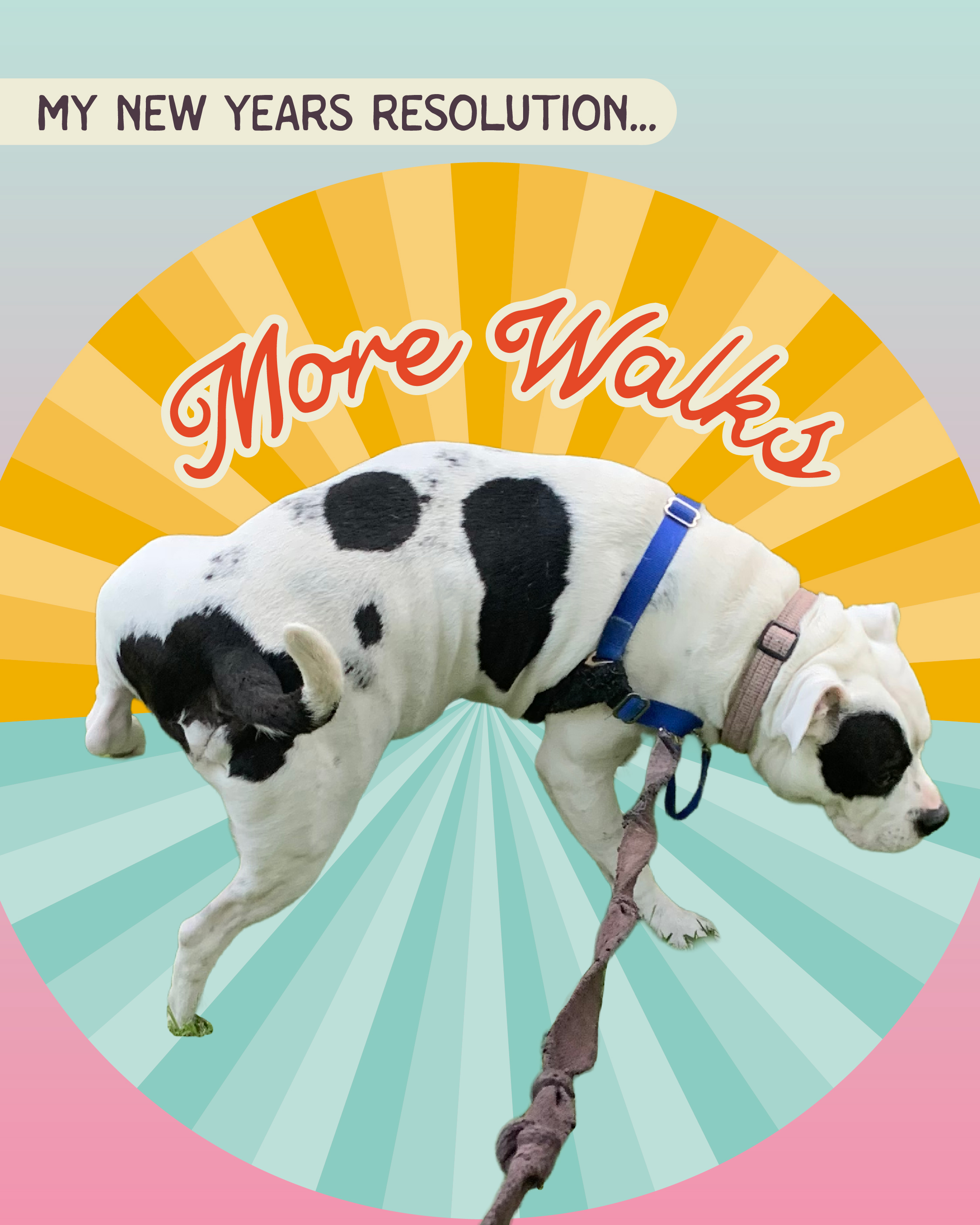 Floof Club ATX — New Year's Resolution More Walks Meme